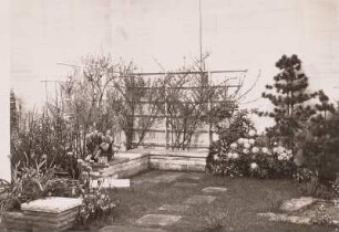 Blumenausstellung : Dresden, Blumenausstellung in der Nordhalle