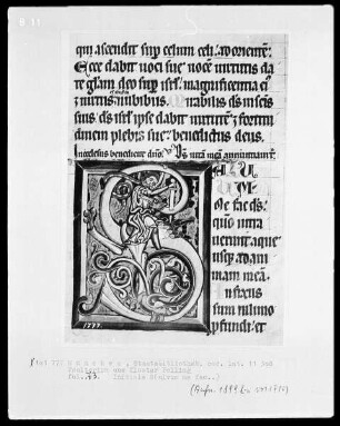 Psalterium (aus Kloster Polling) — Initiale S (alvum ne fac), darin ein Drachentöter, Folio 73recto