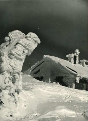 Winterimpression im Schwarzwald
