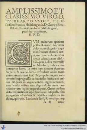 Widmungsbrief von Stephanus Wolf an Everhardus Wolff.