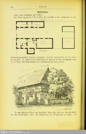 Koltzschen