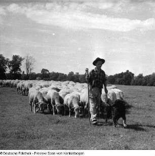 Richter auf Elbwiese
