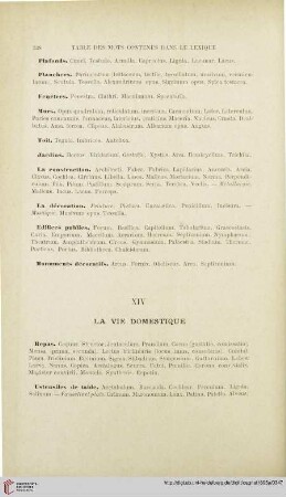 XIV. La vie domestique