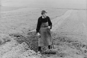 Bauer auf dem Feld