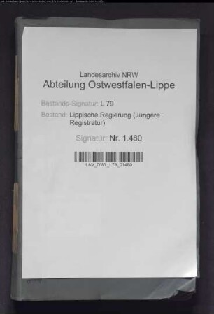 Gewerbliche Abgaben im Amt Detmold, Band 1