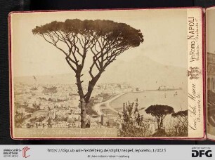 85 Napoli dalla Tomba di Virgilio