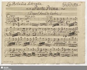 Solo- (mit Chor-) Stimmen