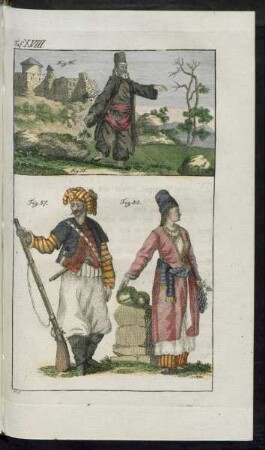 Taf. XVIII. Fig. 56. - Fig. 58.