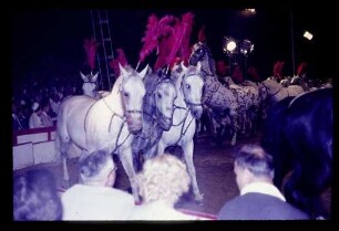 Zirkus Althoff 20.8.65.