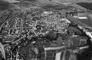 Riegel: Ortsansichten mit Brauerei, von Osten - Süden, Zusammenfluss; Alte Dreisam, [Dreisam] und Elz