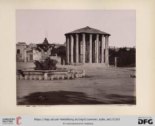 No. 1036 Roma Tempio di Vesta