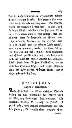 Kellerhals. Daphna mezereum.