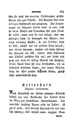 Kellerhals. Daphna mezereum.