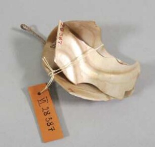 ceaschu (laut Fritz)