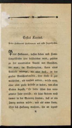 Erstes Kapitel. Peter Hollmanns Herkommen und erste Jugendjahre.
