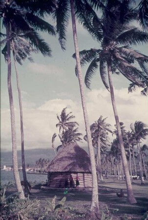 Reisefotos. Hütte am Strand unter Palmen (vielleicht in der Karibik)