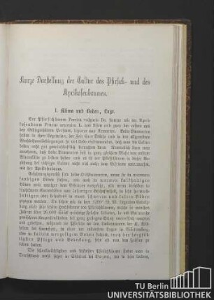 [Pfirsiche und Aprikosen.]