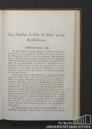 [Pfirsiche und Aprikosen.]