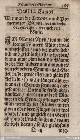 Das III. Capitel. Wie man die Citronen- und Pomeranzen-Bäume/vermittels der Zweige/vermehren könne.