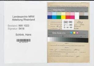 Entnazifizierung Hans Schlink , geb. 28.07.1910 (Gaertner)