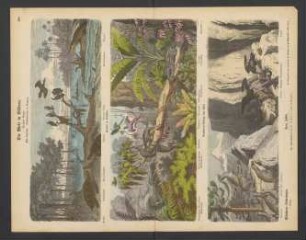 Die Welt in Bildern, sechster Bogen: Süd-Amerika, Flußmündung Guyana, Urwald in Brasilien, Cordilleren-Gebirge von Chili
