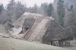 Feldberg-Altglashütten? Altes Schwarzwaldhaus