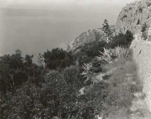 Dalmatische Küste bei Dubrovnik mit Mittelmeervegetation