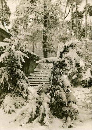 Waldfriedhof im Schnee