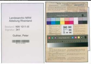 Entnazifizierung Peter Guthier , geb. 21.06.1906 (Passierer)