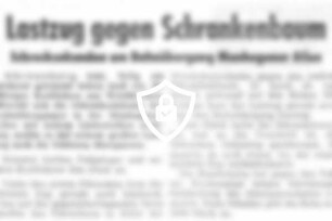 Lastzug gegen Schrankenbaum