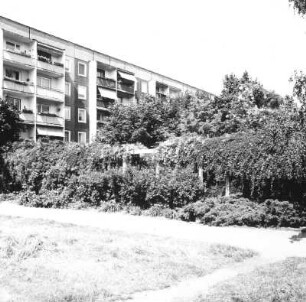 Cottbus-Sandow, Artur-Becker-Straße (Muskauer Straße). Wohnblock (um 1970). Balkonseite über Grünanlage mit Pergola