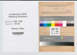 Entnazifizierung Peter Niesen, geb. 18.07.1901 (Monteur)