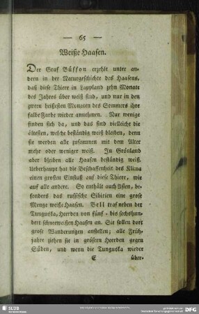 Weiße Haasen