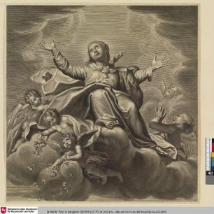 [Die Himmelfahrt der Maria]