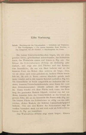 Elfte Vorlesung.