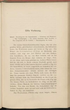 Elfte Vorlesung.