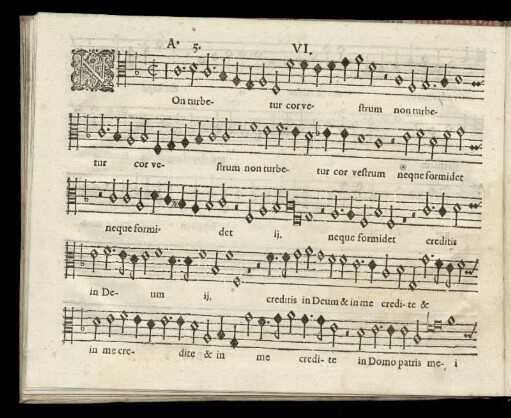 VI. Non turbetur cor vestrum