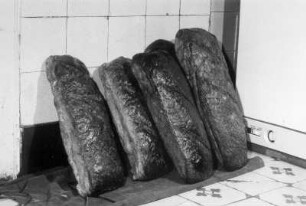 Brot