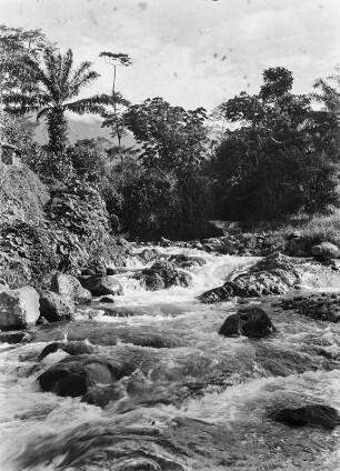 Fluss im Regenwald : Blick auf einen Fluss, der das Regenwaldgebiet Malabos durchquert.