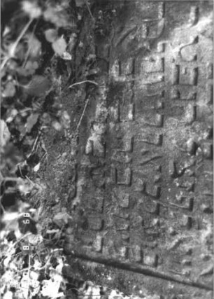 Grabstein 238 (Index: 99799949) Material: Sandstein Zustand: stark verwittert, eingesunken, teilw. Textverlust Maße HxBxT: 64x58x12 cm Beschreibung: Stele, eingezogener Rundbogenabschluß, Schriftfeld eingetieft: Grabstein 238 (Detailaufnahme 2)