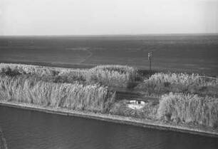 Eisenbahntrasse mit Uferbepflanzung : Sueskanal. Blick auf eine Eisenbahntrasse mit Uferbepflanzung und Telegraphenmast im Hintergrund