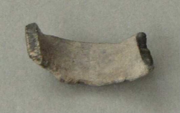 Fragment of a finger ring