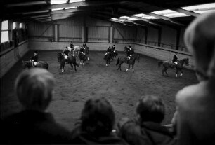 Leistungsschau des Reitervereins Karlsruhe in der Reitsportanlage Rosenhof