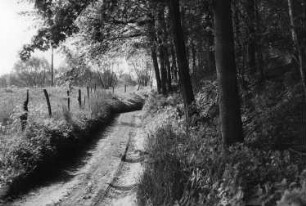 Wilsdruff-Helbigsdorf. Weg nach Steinbach und Helbigsdorf bei der Dietrichmühle