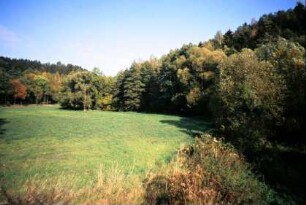 Wiese und angrenzende bewaldete Anstiege