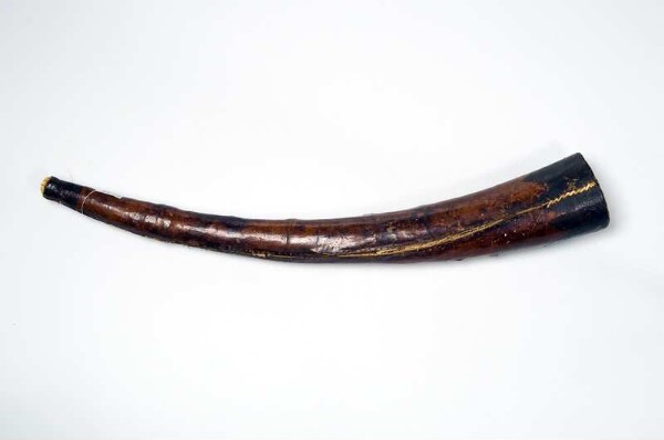 Longitudinal horn