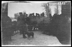bei Illawcze (=Ilavche, Ukraine) an der Verkehrsstelle: Gruppenbild russischer (?) Soldaten und Offiziere mit einem Hund ("Ankauf eines Hundes")