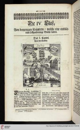 Die IV. Claß