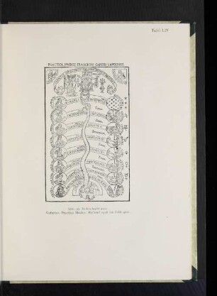 Abb. 96. Holzschnitt aus: Gafurius, Practica Musice, Mailand 1496 (zu Seite 412).
