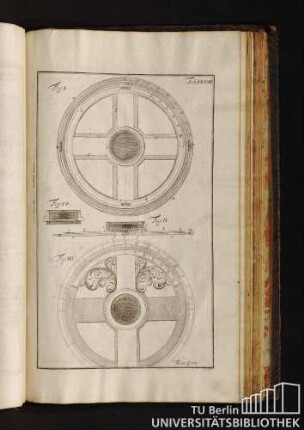 Tab. XXXVII.